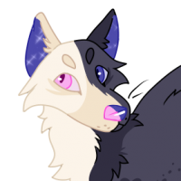 NEB-750: 🕊️Maxine