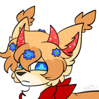 Thumbnail for NEB-906: Raccoon