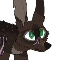 NEB-1645: 🌑Burrow
