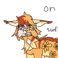 PHO-504: SUNNY