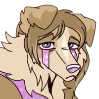 NEB-2786: Nora