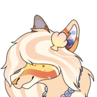 Thumbnail for MER-591: Cari