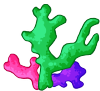 Coral